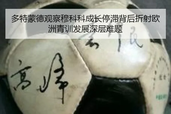 多特蒙德观察穆科科成长停滞背后折射欧洲青训发展深层难题